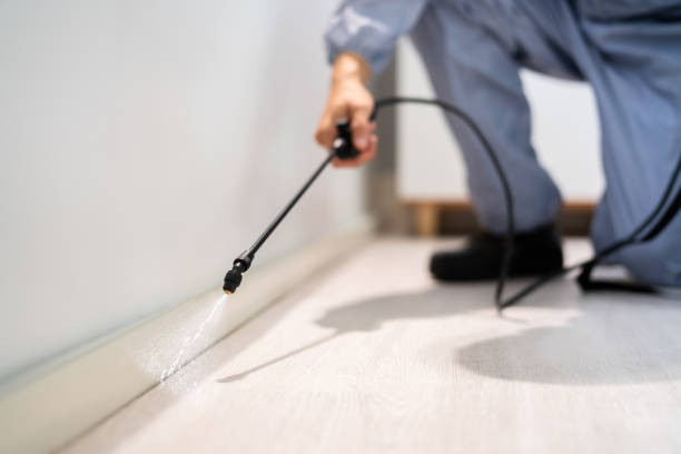 Rodent Entry Point Assessment in Spring City