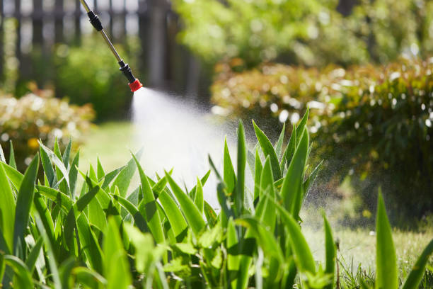 Tamper-Resistant Bait Stations for Rodents in Spring City