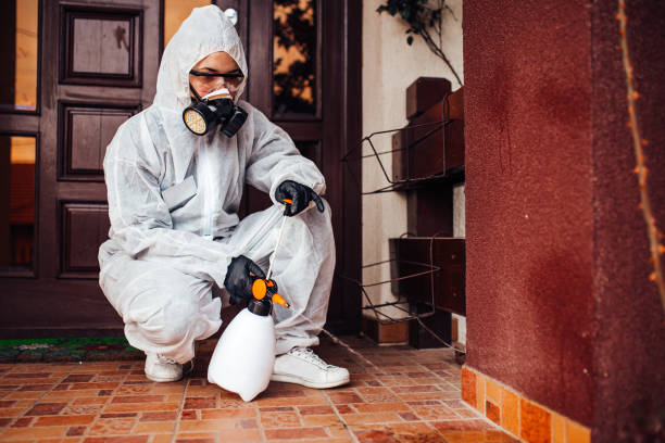 Attic and Crawl Space Rodent Treatment in Spring City